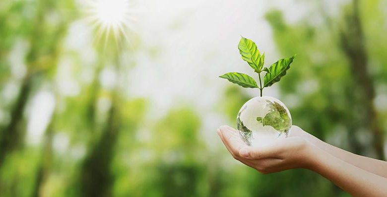 ¿Sabes qué es el consumo responsable? Esto es lo que realmente significa