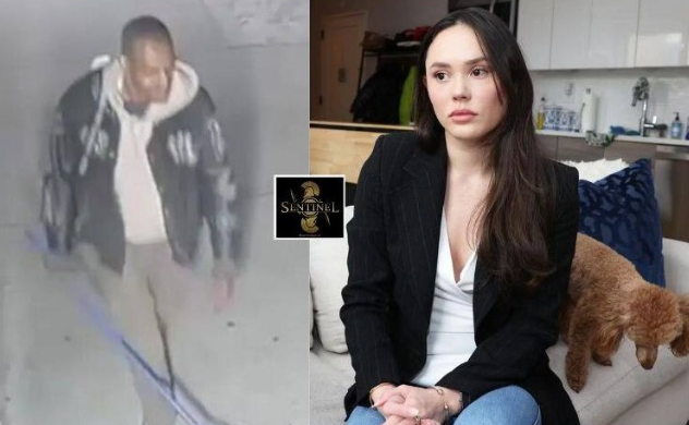 Hombre de Nueva York ataca a mujer con palo de hockey