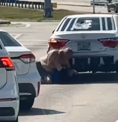 VIDEO: Dos hombres detienen tráfico en Miami con pelea callejera