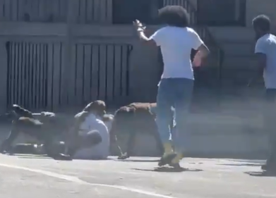 VIDEO: Policía en EE.UU. dispara a perros que atacaban a una persona en la calle