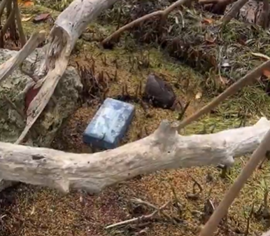 Hombre descubre 4 millones de dólares en cocaína en Playa de Florida