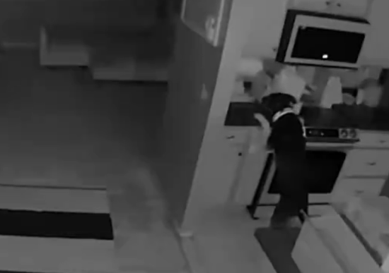 VIDEO: Perro provoca un incendio en una casa al encender la estufa