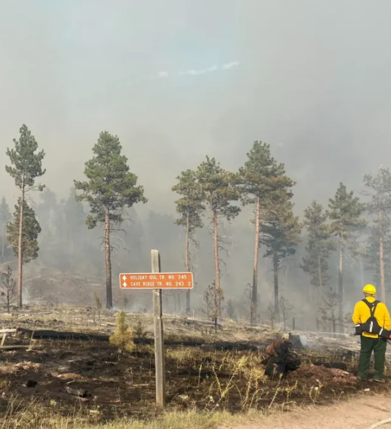 Avión se estrella mientras luchaba contra incendio en Montana