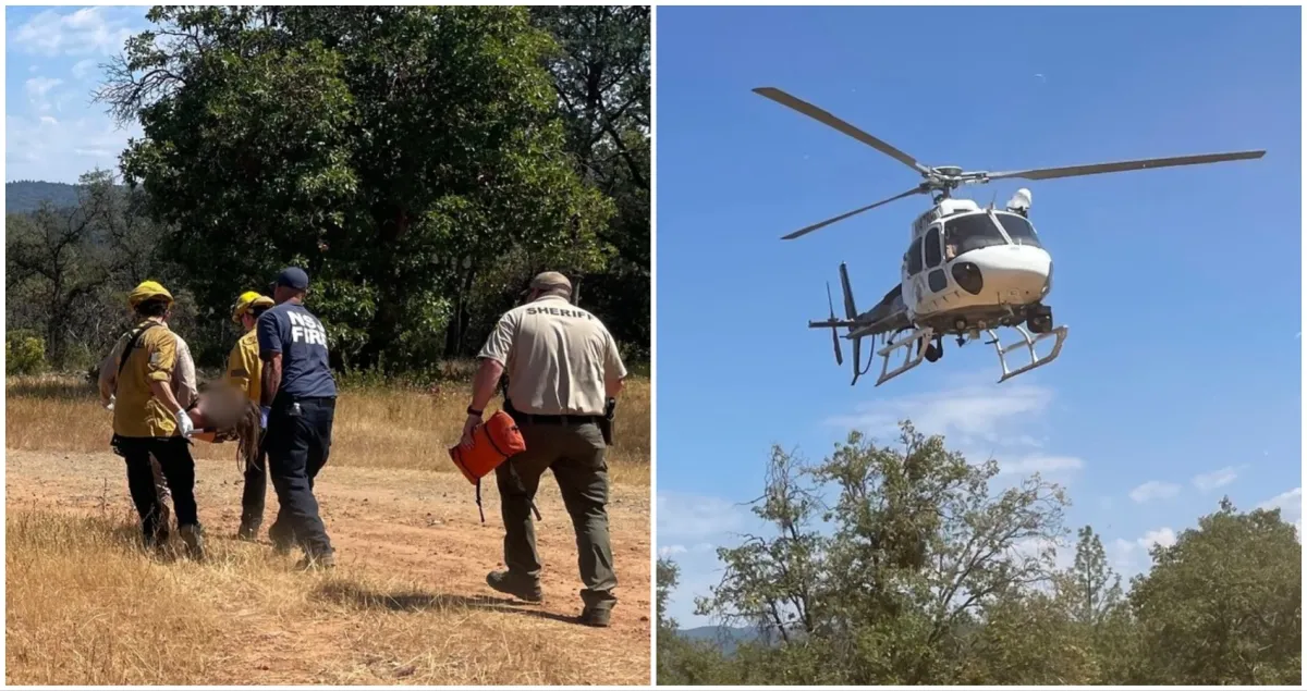 Excursionista sobrevive semanas en desierto de California tras perderse
