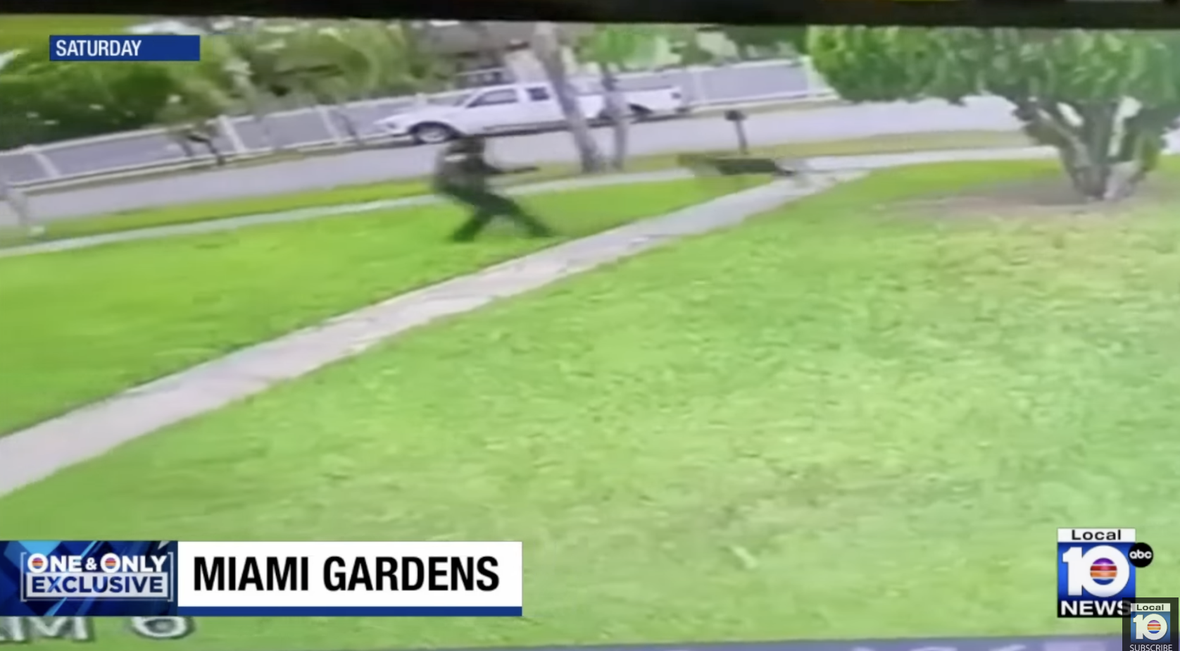 VIDEO: Perro muere baleado por un policía durante operativo en Miami Gardens